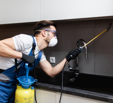 Chris Pest Control Tullamarine Milestone